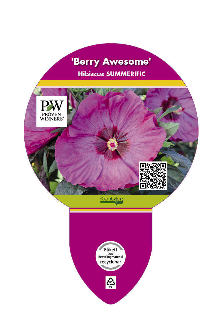 Hibiscus SUMMERIFIC® 'Berry Awesome' (Sortenetikett, Stecker)