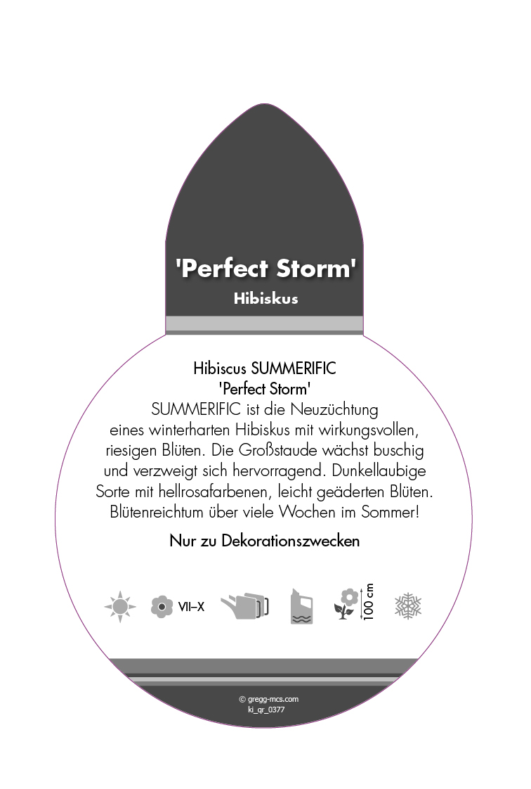 Hibiscus SUMMERIFIC® 'Perfect Storm' (Sortenetikett, Stecker)