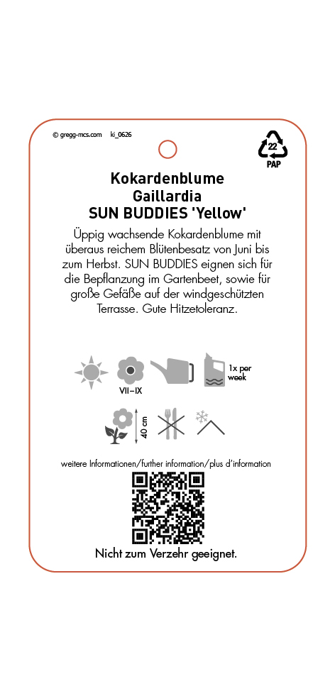 Gaillardia SUN BUDDIES Yellow