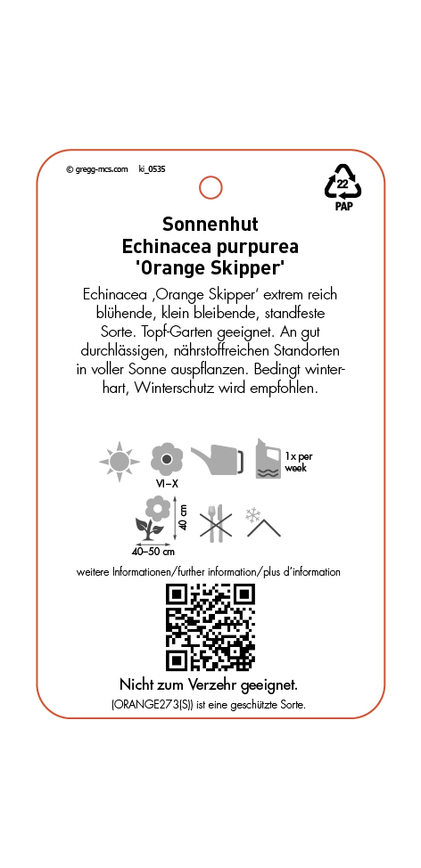 Echinacea purpurea Orange Skipper