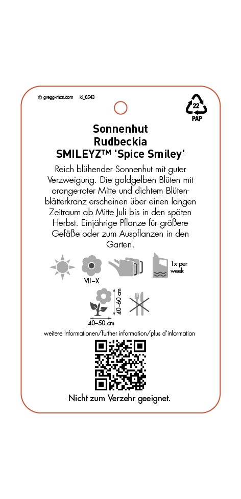 Rudbeckia SmileyZ Spice Smiley