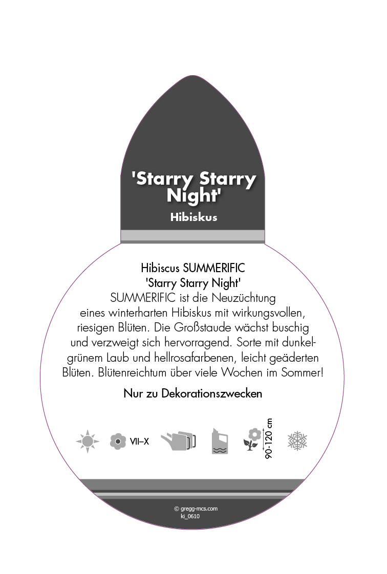 Hibiscus SUMMERIFIC® Starry Starry Night (Sortenetikett, Stecker)