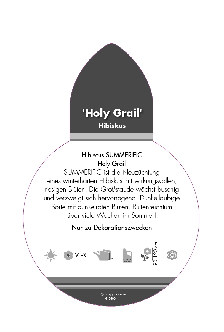Hibiscus SUMMERIFIC® Holy Grail (Sortenetikett, Stecker)